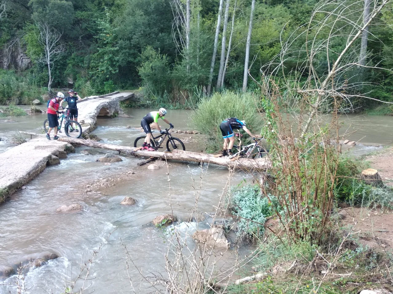 El azud completo con dos porteando por el tronco
