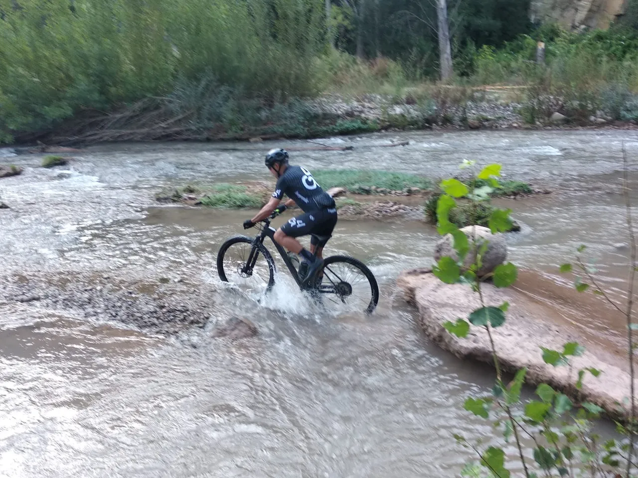 Un zorrico cruzando el río y levantando agua