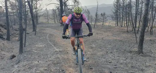 Dos ciclistas subiendo en fila por el pinar quemado