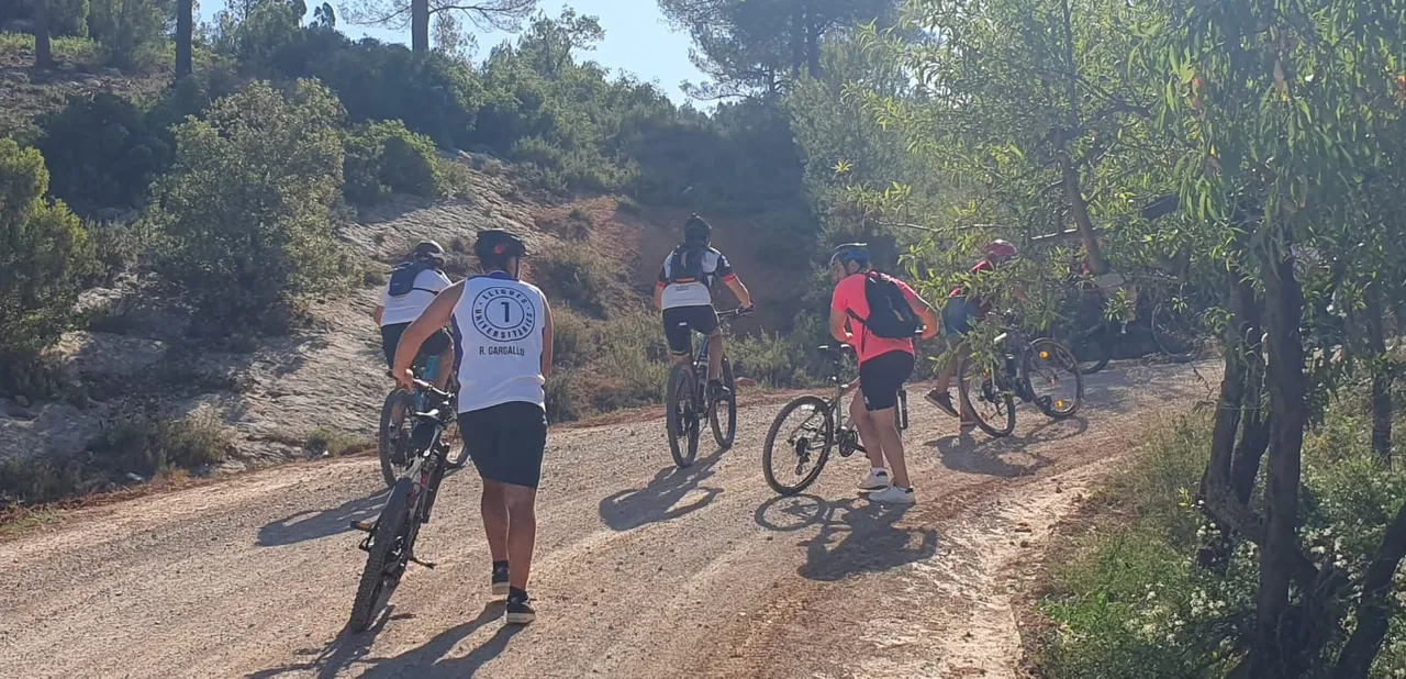 El pelotón de espaldas subiendo la pista forestal