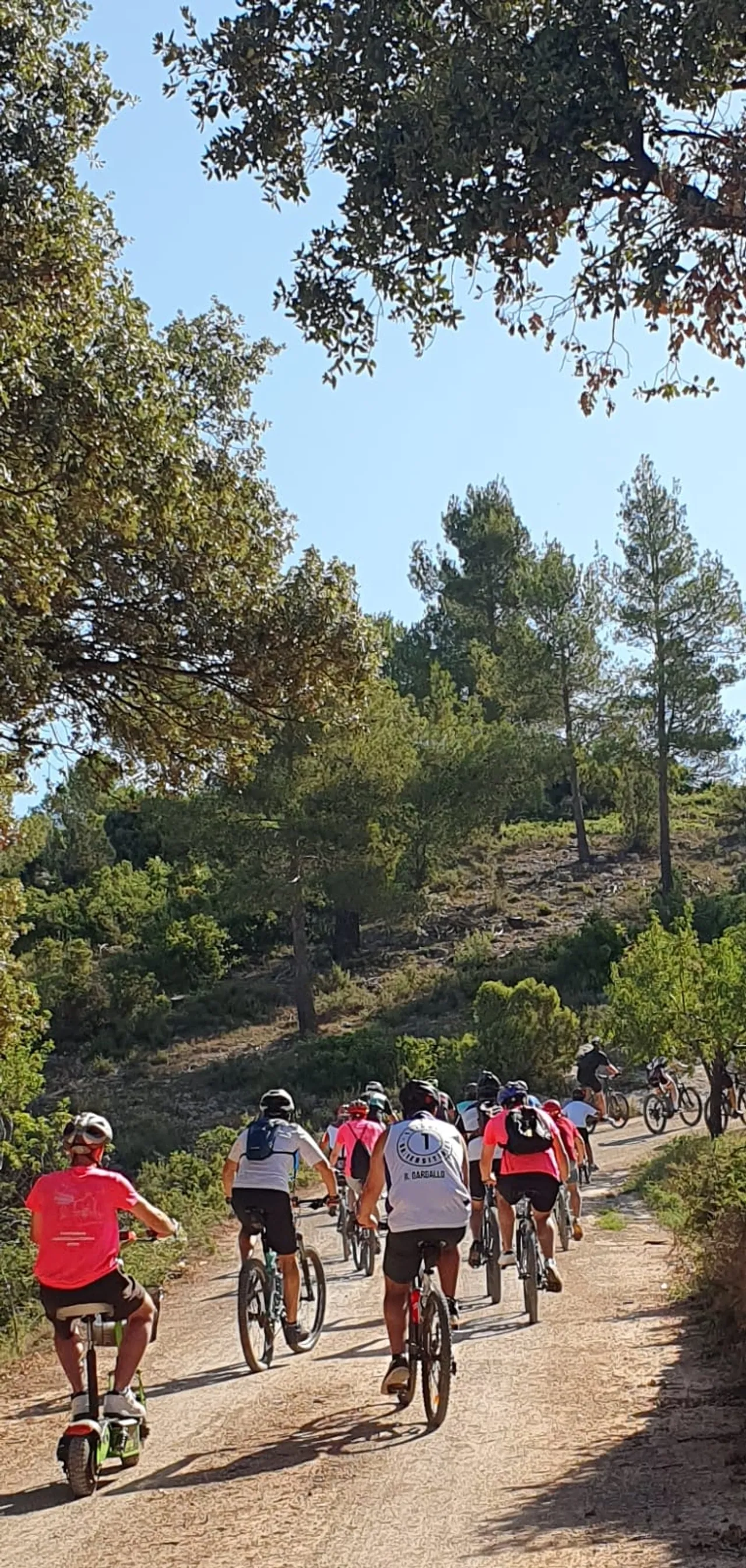 El pelotón de la marcha subiendo en fila por la pista entre pinos
