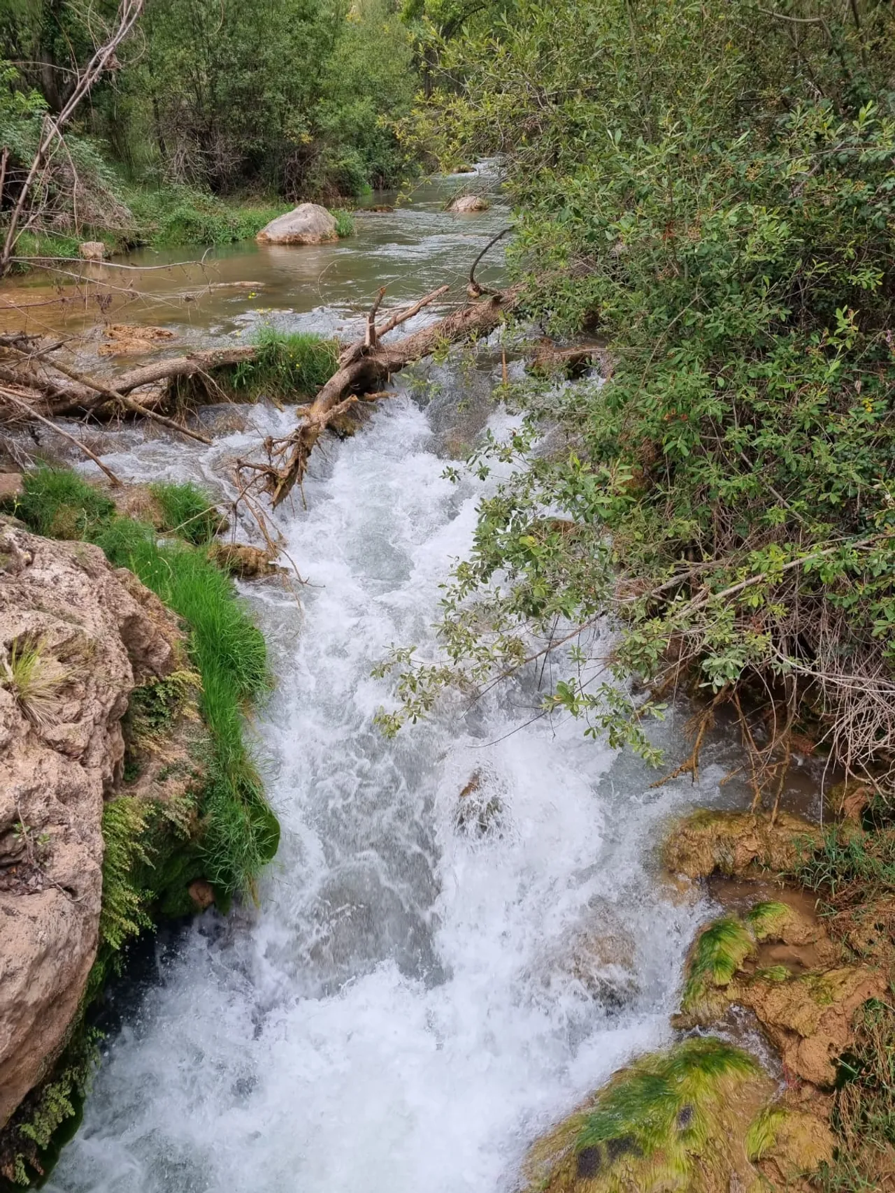 La cascada del río entre travertinos y musgo