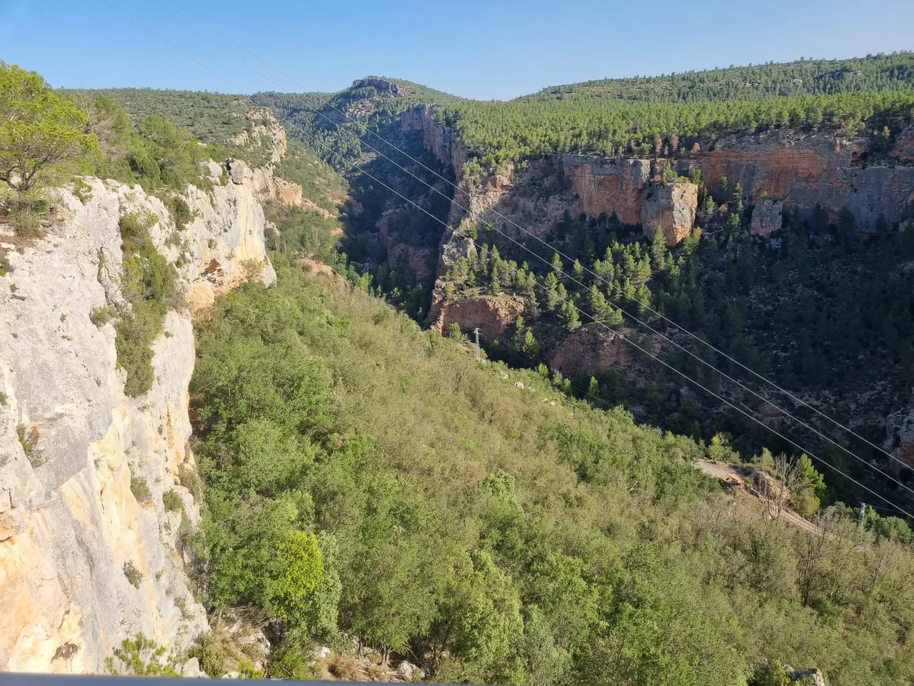 El cañón de las Hoces con sus paredes de roca y pinar