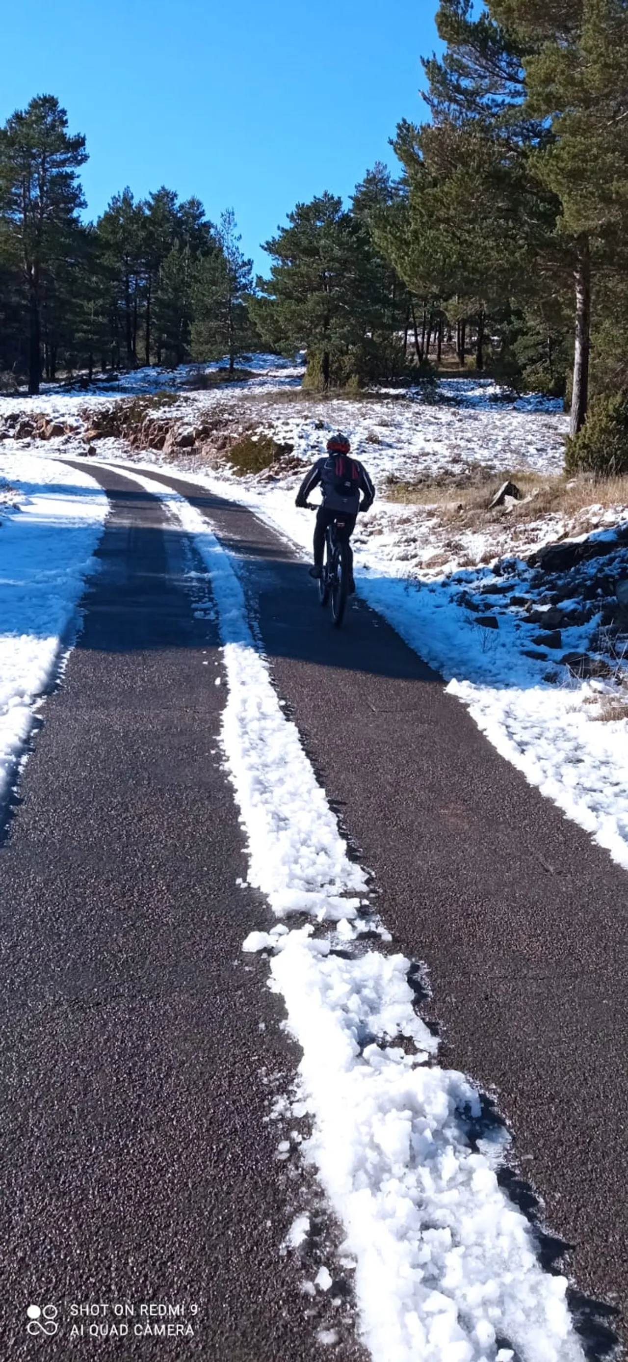 Ciclista de espaldas por una carretera nevada entre pinos